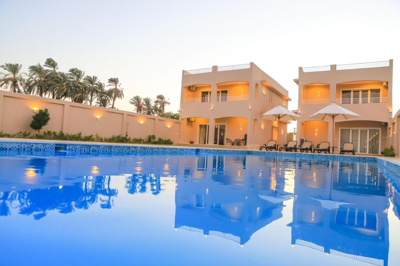 Royal Nile Villa - Pool View Apartment 1 Luxor Eksteriør bilde